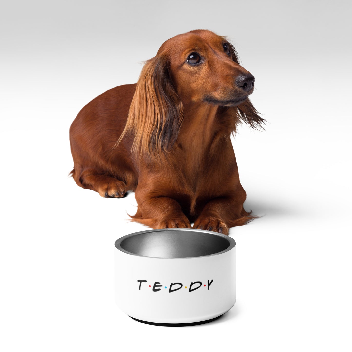 Teddy Pet bowl