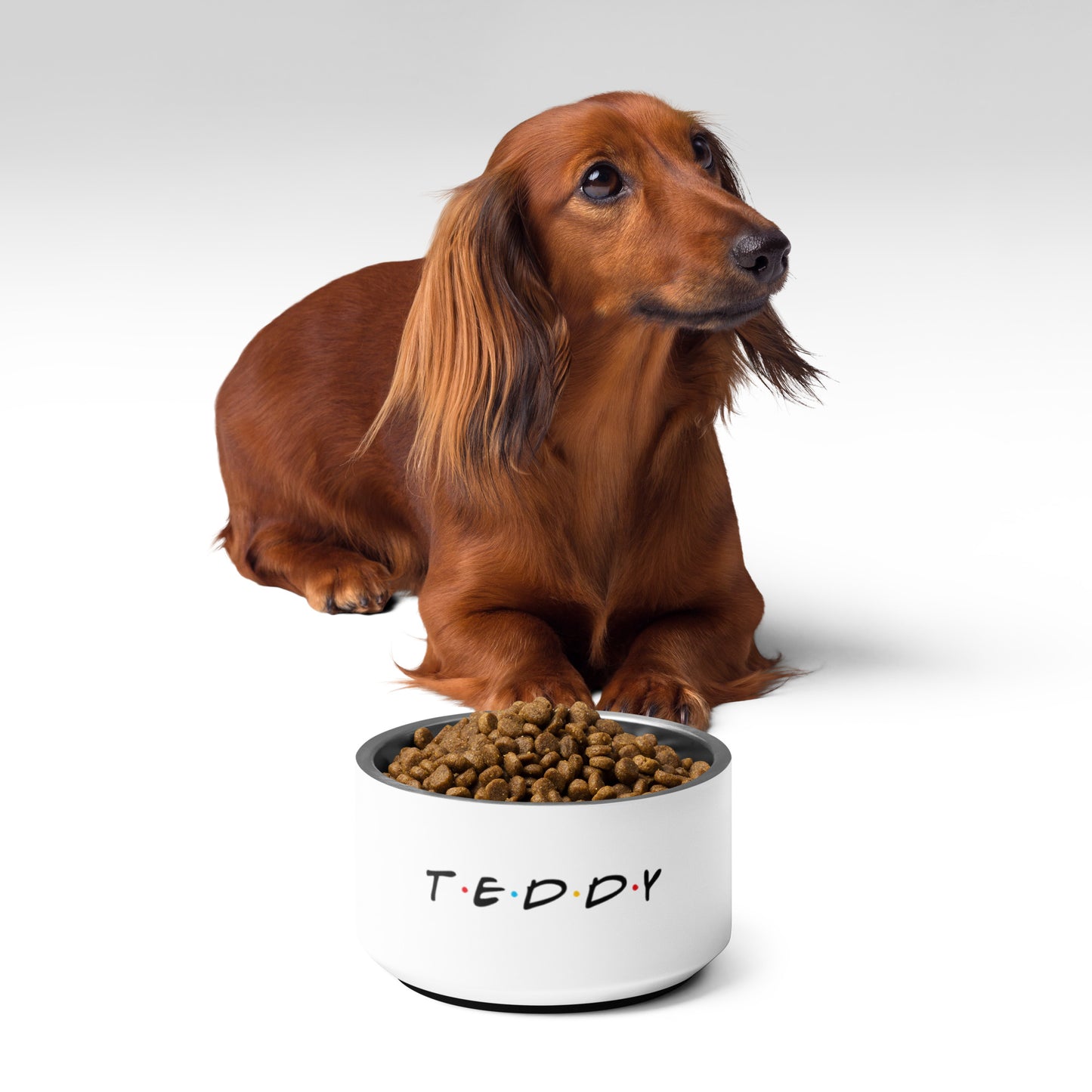 Teddy Pet bowl