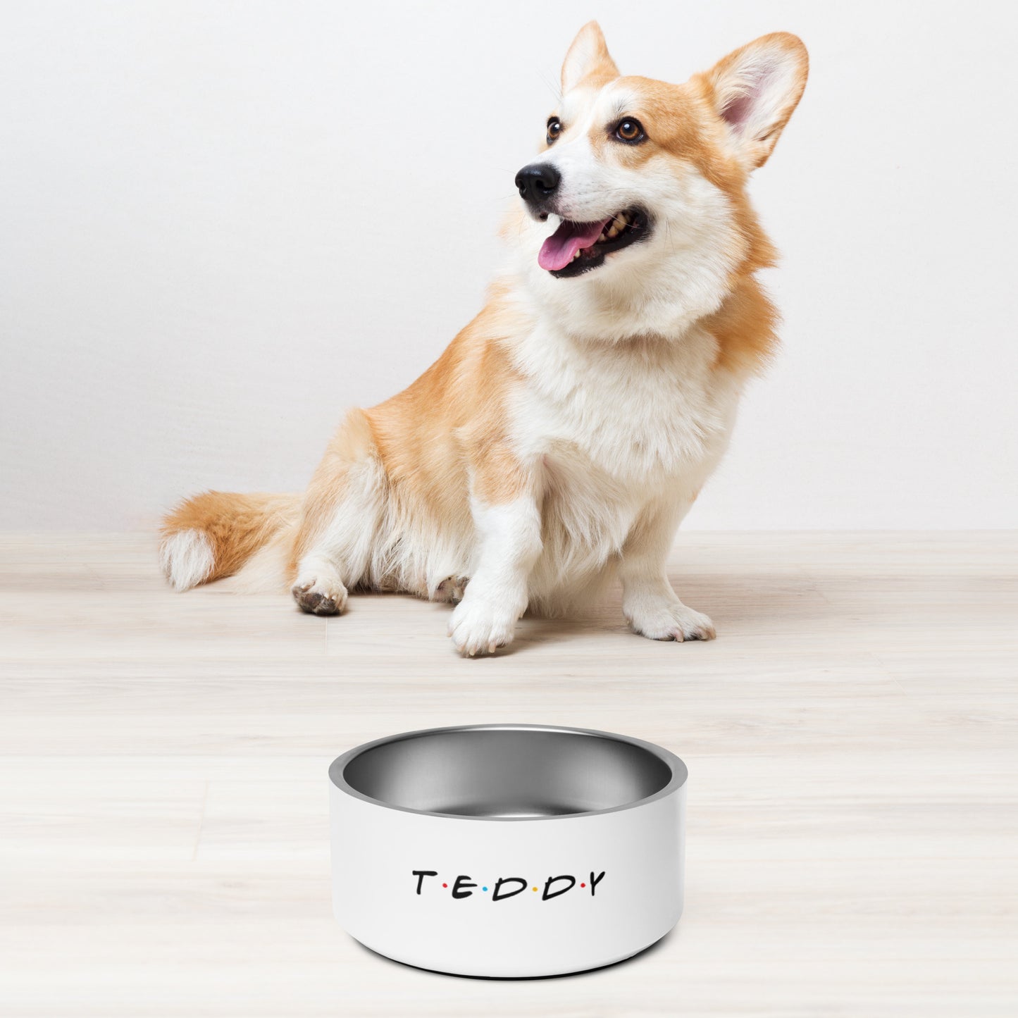 Teddy Pet bowl