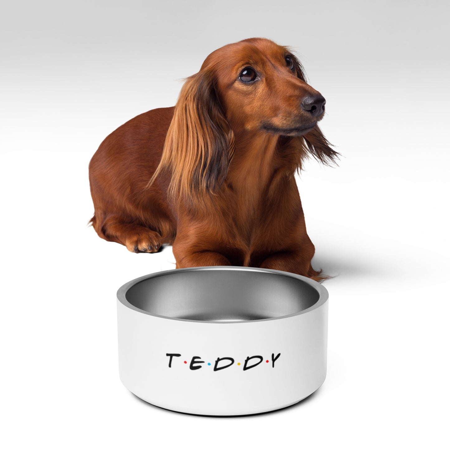 Teddy Pet bowl