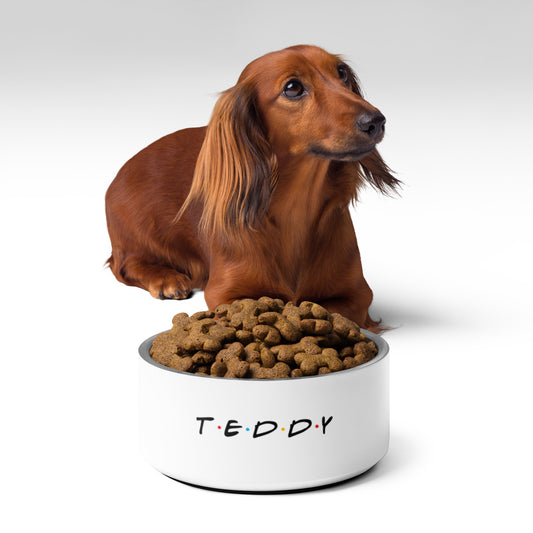 Teddy Pet bowl